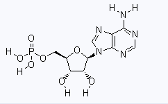 61-19-8 suppliers