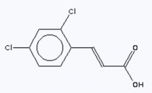 CAS 20595-45-3 trans-2,4-Dichlorocinnamic acid suppliers